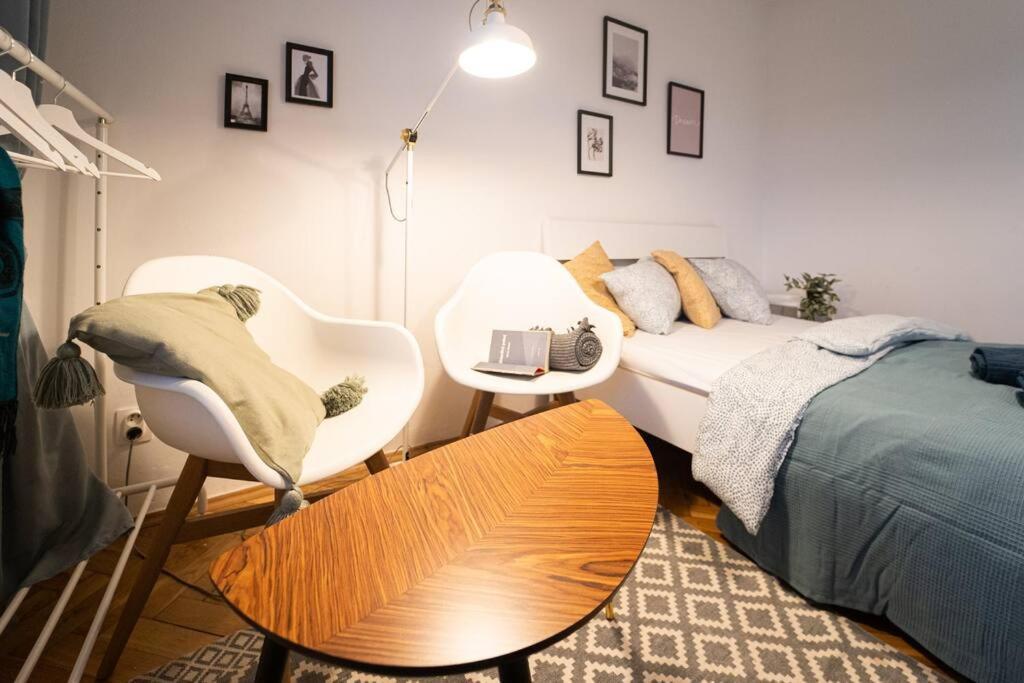 Appartamento Mini Studio In Masaryk Quarter - Brno Esterno foto